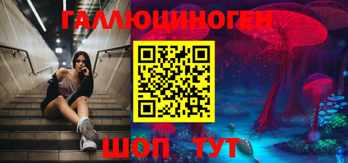 Галлюциногенные грибы Cubensis Воронеж