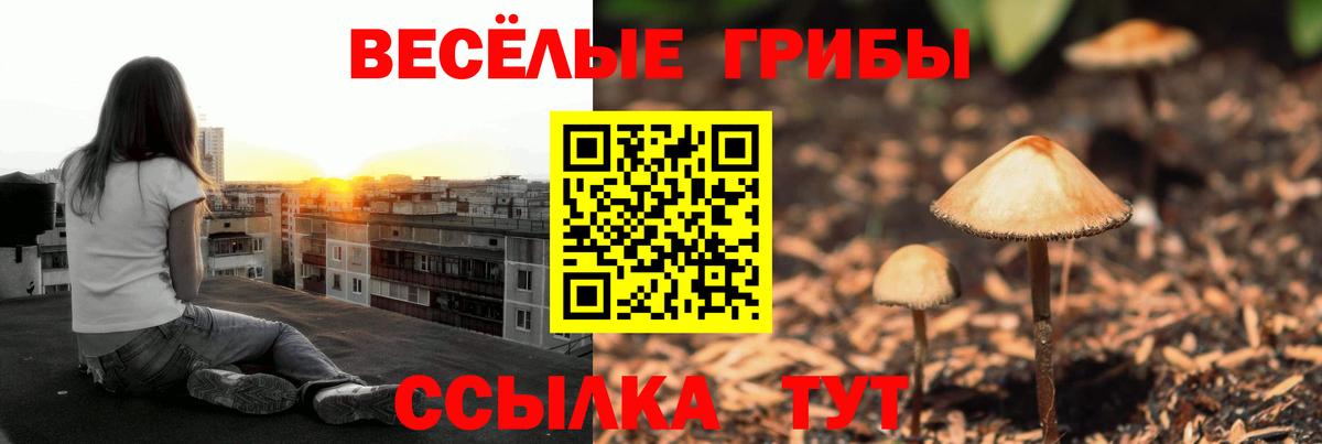 наркотики  Вход с VPN  Воронеж  Галлюциногенные грибы прущие грибы 